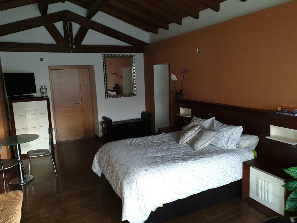 Villa Casa Cristimil -San Amaro à Salamonde Extérieur photo